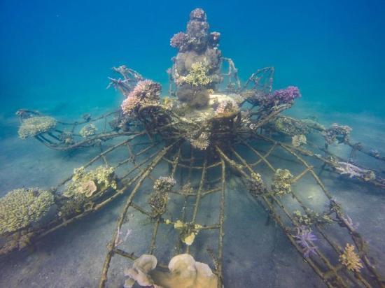 Biorock Pemuteran Bali
